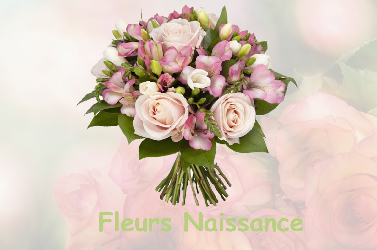 fleurs naissance RIEC-SUR-BELON